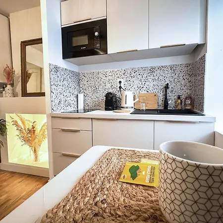 Appartement Le Petit Arth&m Ferrand *