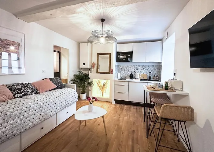 Апартаменты Le Petit Arth&m Ferrand