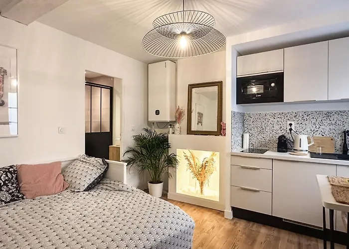 Le Petit Arth&m Ferrand Апартаменты